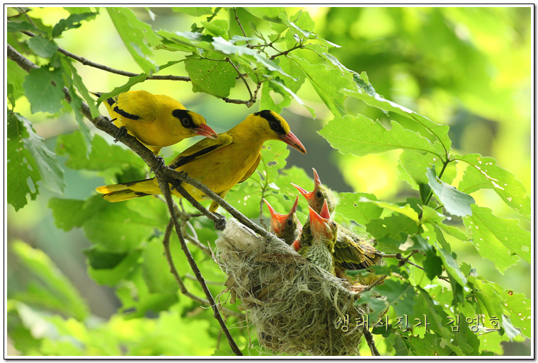 110701_msspension193458.jpg